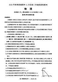 2025届湖北省鄂东南协作体高三下学期11月阶段考-物理试题（含答案）