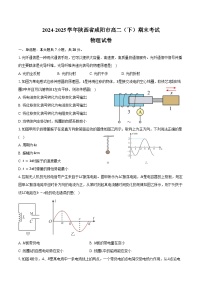 2024-2025学年陕西省咸阳市高二（下）期末物理试卷（含解析）