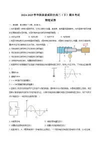 2024-2025学年陕西省咸阳市高二（下）期末物理试卷（含解析）