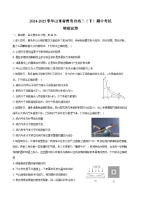 2024-2025学年山东省青岛市高二（下）期中物理试卷（含答案）