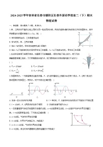 2024-2025学年吉林省长春市朝阳区长春外国语学校高二（下）期末物理试卷（7月）（含解析）