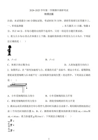 2025届江苏省连云港市高三下学期11月期中调研考-物理试卷（含答案）