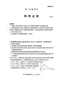 山东省泰安市2024-2025学年高二下学期4月期中物理试卷（含答案）