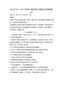 四川省凉山州2024-2025学年高二下学期期末考试物理试卷（学生版）