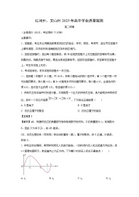 云南省红河州、文山州2024-2025学年高二下学期期末学业质量监测物理试卷（解析版）