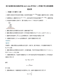 四川省绵阳东辰国际学校2025-2026学年高二上学期开学分班检测物理试题（Word版附解析）