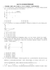 2025 年山东省新高考物理真题试卷含答案