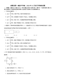 河南省驻马店市新蔡县第一高级中学2024-2025学年高二上学期10月月考物理试题