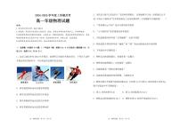黑龙江省大庆市大庆中学2024-2025学年高一上学期10月月考物理试题