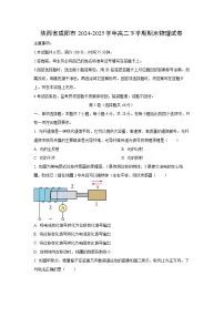 陕西省咸阳市2024-2025学年高二下学期期末物理试卷（学生版）