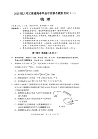 广东省大湾区2025届高三上学期第一次模拟调研-物理试卷（含答案）