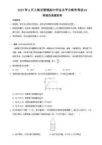 2025年6月上海市普通高中学业水平合格性考试物理仿真模拟卷03（考试版）-A4