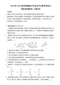 2025年6月上海市普通高中学业水平合格性考试物理仿真模拟卷01（全解全析）-A4