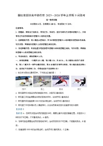 【物理】湖北省部分高中协作体联考2025-2026学年高一上学期9月月考试题（解析版+学生版）