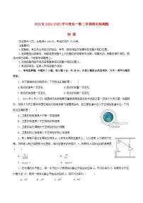 四川省内江市2024_2025学年高一物理下学期期末考试