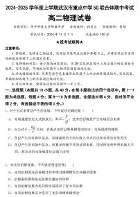 湖北省武汉市重点中学5G联合体2024-2025学年高二上学期11月期中考试物理试卷