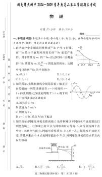 湖南师范大学附属中学2024-2025学年高二下学期期末考试物理试卷+答案