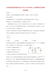 云南省西双版纳傣族自治州2024~2025学年度高二上册期末考试物理试卷（带答案）