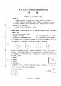 2026届湖南省高三上学期10月阶段监测联考（一模）物理试题+答案
