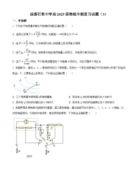 精品解析：四川省成都市石室中学2023-2024学年高二上学期半期考试复习（3）物理试题（原卷版）