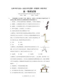 2024-2025学年深圳市红岭中学高一(上)期末物理试卷