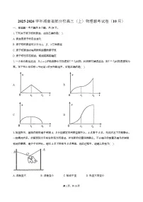 2026届湖南省高三上学期10月阶段监测联考（一模）物理试题（解析版）