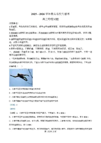 2026届安徽省顶尖名校大联考高三上学期10月月考物理试题（解析版）