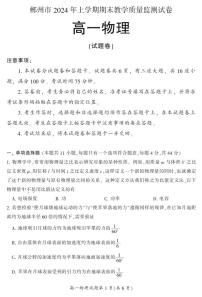 湖南省郴州市2023-2024学年高一下学期期末教学质量监测(选考科目)物理试题