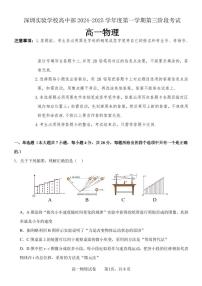 2024-2025学年深圳实验学校高一(上)期末物理试卷含答案