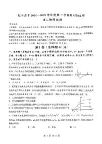 河南省驻马店市2024-2025学年高二下学期期末质量监测物理试卷（含答案）
