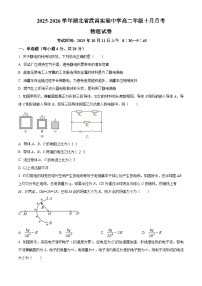 湖北省武昌实验中学2025-2026学年高二上学期10月月考物理试卷（Word版附解析）