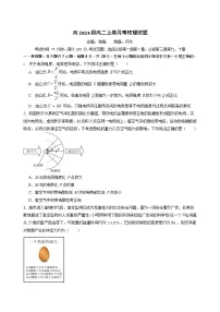 重庆市万州二中2025-2026学年高二上学期10月考试物理试卷