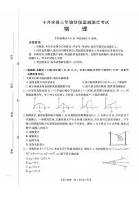 湖南省部分学校2026届高三上学期10月阶段监测联合考试 物理 PDF版含解析