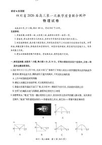 2025年四川大数据高三上学期10月物理试题无答案
