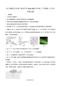 四川省攀枝花市第三高级中学2024-2025学年高二下学期第二次月考物理试题（Word版附解析）