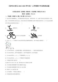 天津市红桥区2024-2025学年高一上学期期中考试物理试题含答案