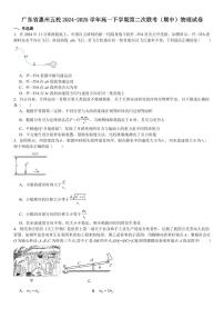 广东省惠州五校2024-2025学年高一下学期第二次联考（期中）物理试卷（含解析）