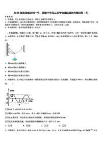 2025届安徽省太和一中、灵璧中学高三高考物理试题系列模拟卷（4）