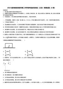 2025届河南省安阳市第二中学高考适应性测试（三诊）物理试题（A卷）
