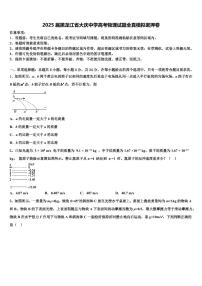 2025届黑龙江省大庆中学高考物理试题全真模拟密押卷