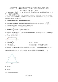 四川省成都市树德中学2025-2026学年高二上学期10月月考物理试卷（Word版附解析）