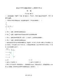 四川省内江市威远中学2026届高三上学期期中考试物理试卷（Word版附解析）