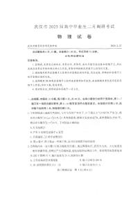 2025届武汉市高三下学期二月调考物理试题及答案