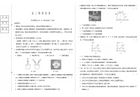 黑龙江新时代高中教育联合体2025-2026学年高三上学期11月期中联考物理试卷