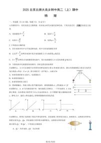 2025北京北师大良乡附中高二（上）期中物理（教师版）试卷
