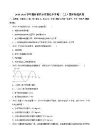 湖南省长沙市雅礼中学2024-2025学年高二上学期期末物理试卷