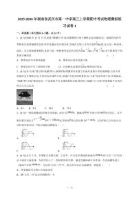 2025~2026学年湖南省武冈市第一中学高三上册期中考试物理模拟练习试卷1（含答案）