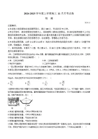 黑龙江省绥化市绥棱县第一中学2024-2025学年高三上学期11月月考物理试题（Word版附解析）