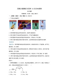 山西省临汾市多校2025-2026学年高一上学期10月月考物理试卷（学生版）