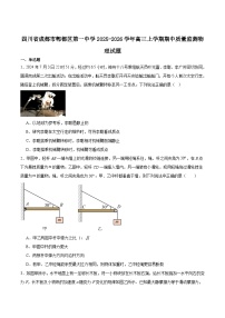 四川省成都市郫都区第一中学2026届高三上学期期中监测物理试卷（含答案）